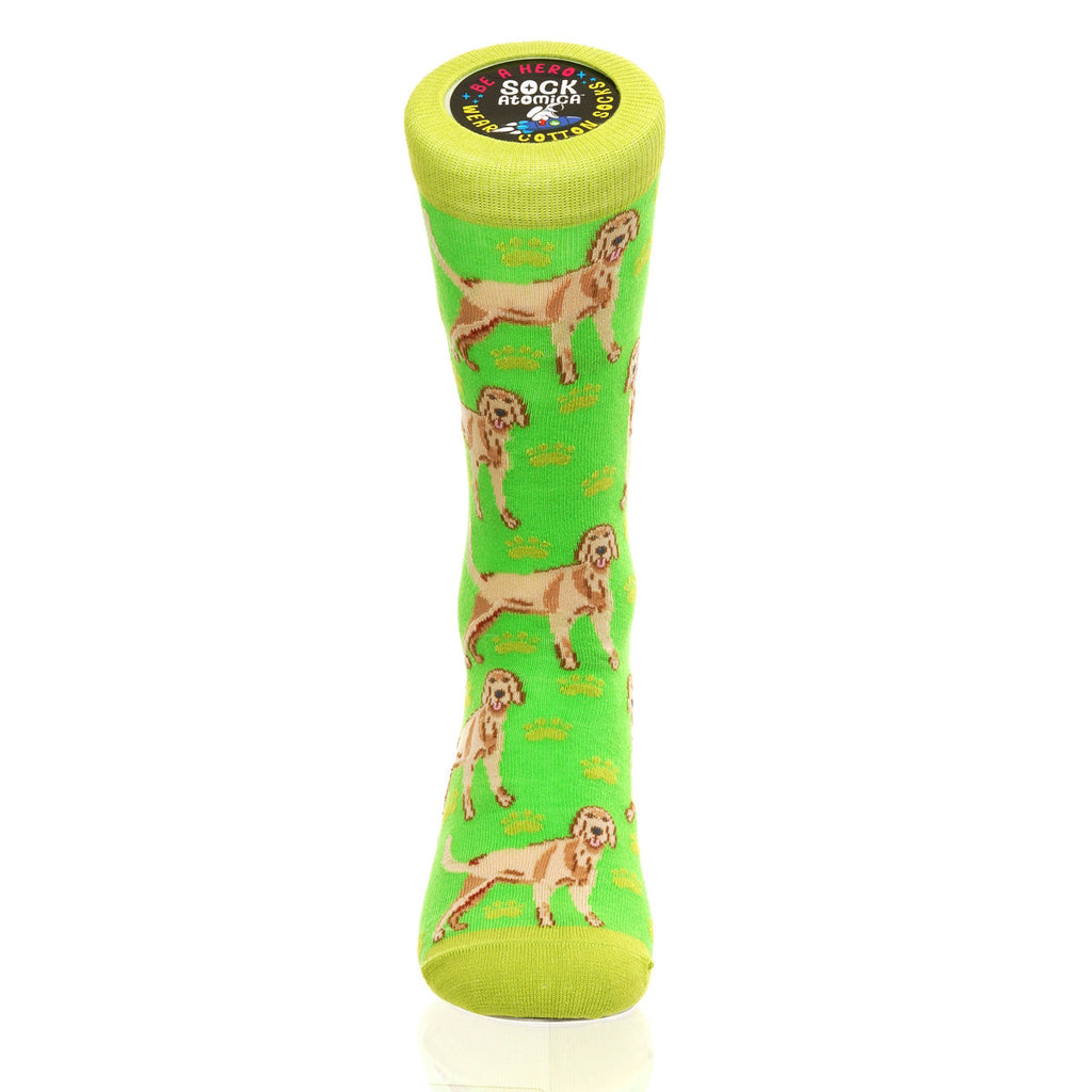 Yellow Labrador | Plenty of Pups