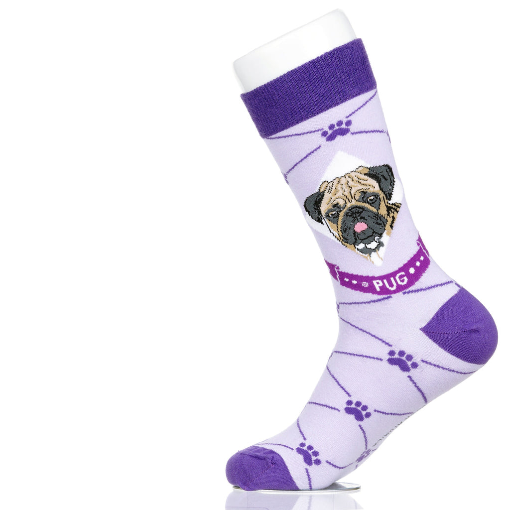 Pug | Argyle Pups