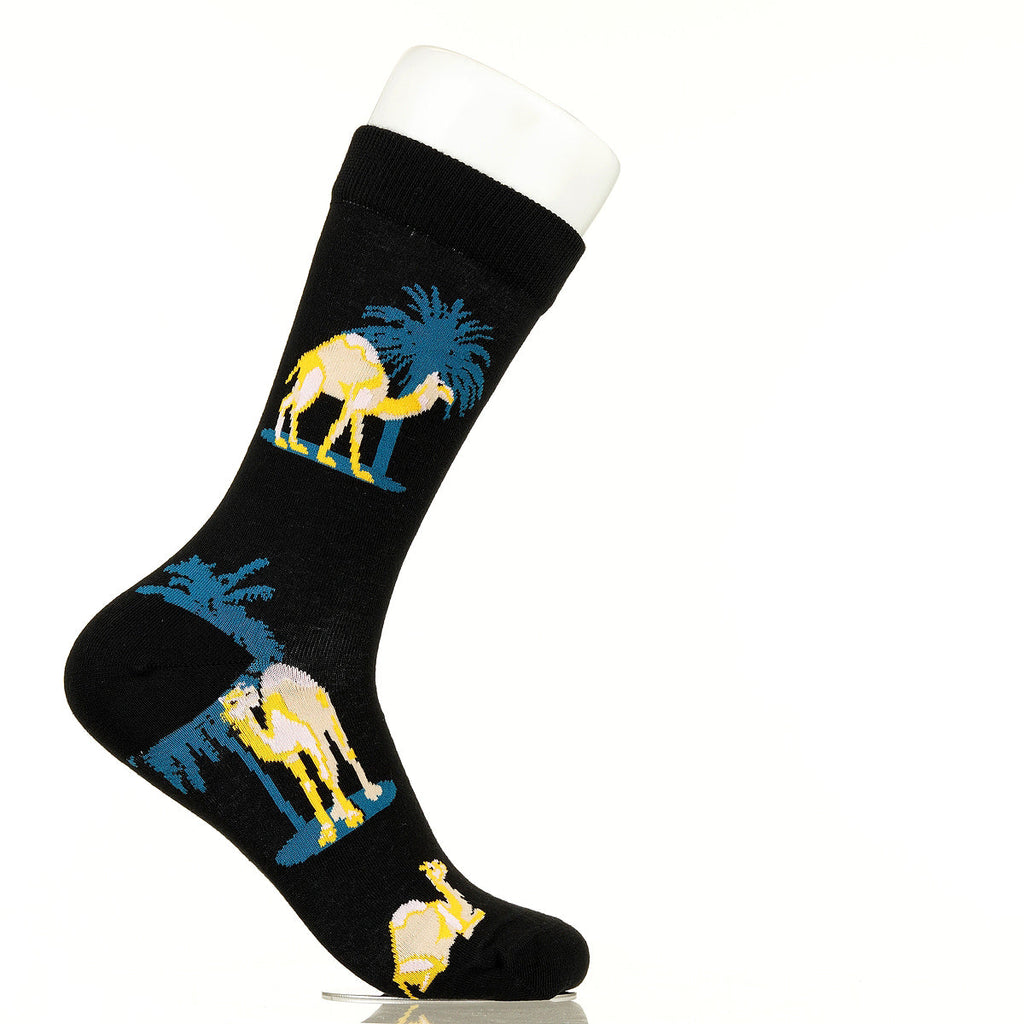 Camels