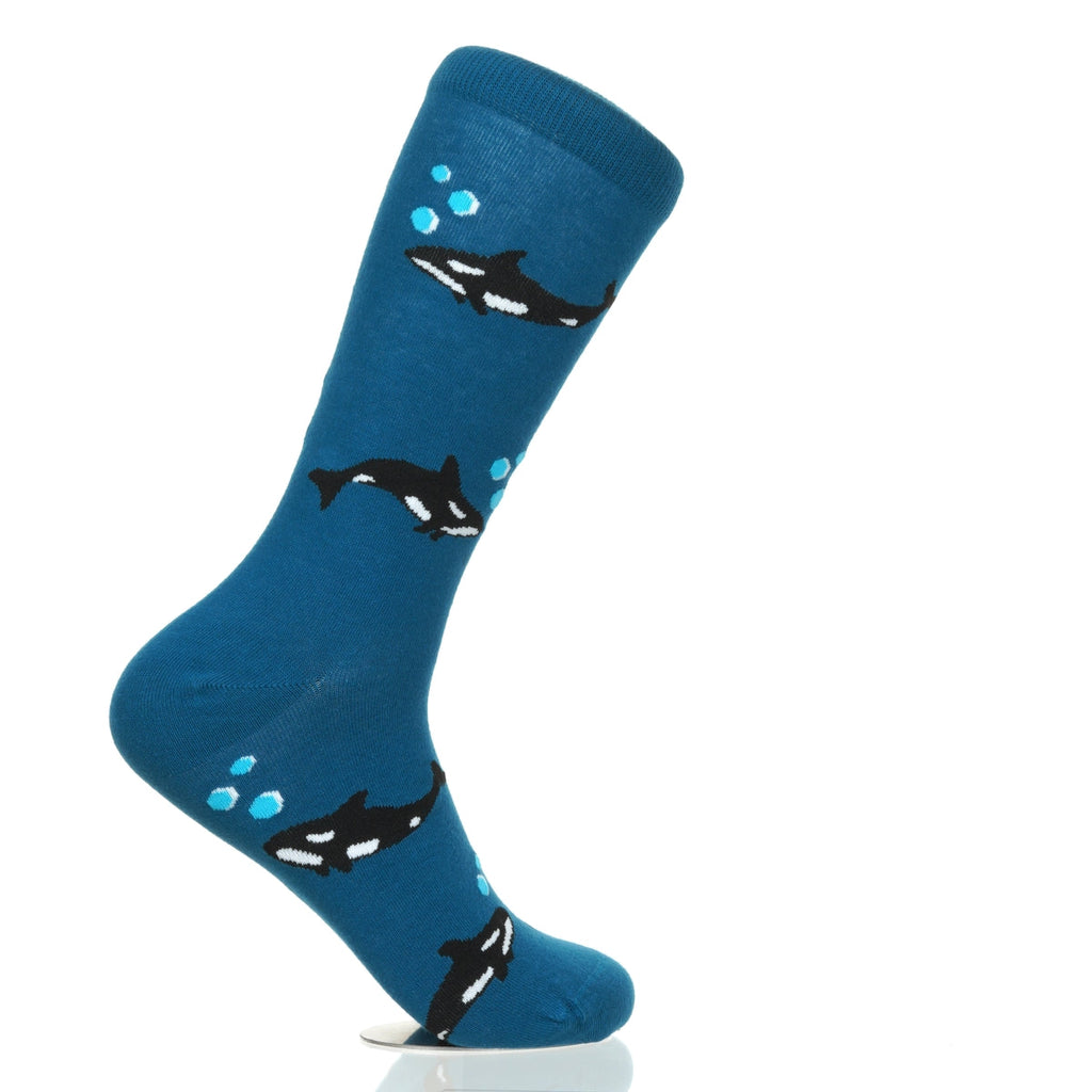 Killer Whale Orca
